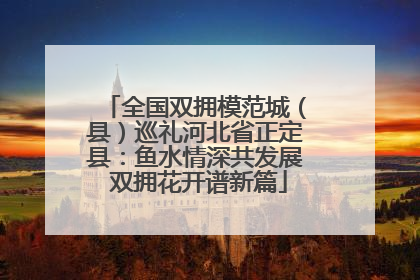 全国双拥模范城（县）巡礼河北省正定县：鱼水情深共发展 双拥花开谱新篇