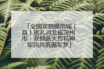 全国双拥模范城（县）巡礼河北省深州市：双拥薪火传精神 军民共筑强军梦