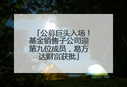 公募巨头入场！基金销售子公司迎第九位成员，易方达财富获批