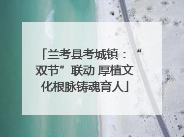 兰考县考城镇：“双节”联动 厚植文化根脉铸魂育人