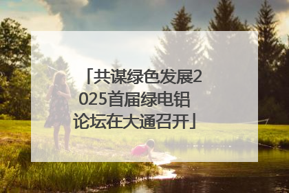 共谋绿色发展2025首届绿电铝论坛在大通召开