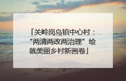 关岭岗乌镇中心村：“两清两改两治理”绘就美丽乡村新画卷