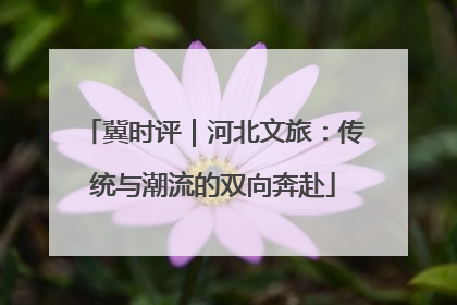 冀时评｜河北文旅：传统与潮流的双向奔赴
