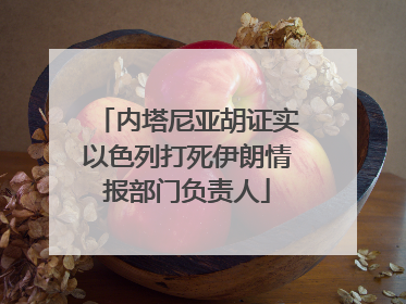 内塔尼亚胡证实以色列打死伊朗情报部门负责人