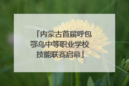 内蒙古首届呼包鄂乌中等职业学校技能联赛启幕