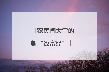 农民闫大雷的新“致富经”