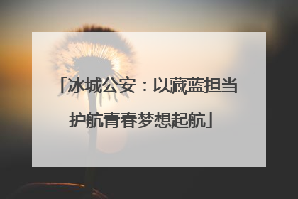 冰城公安：以藏蓝担当 护航青春梦想起航