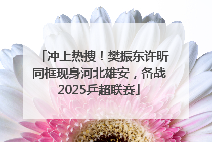 冲上热搜！樊振东许昕同框现身河北雄安，备战2025乒超联赛