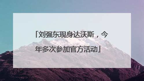 刘强东现身达沃斯，今年多次参加官方活动