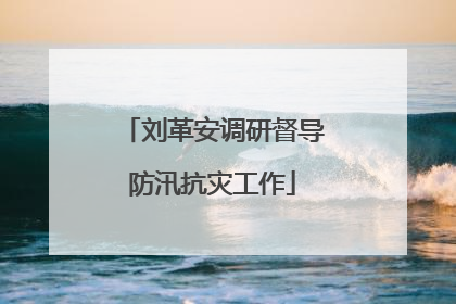 刘革安调研督导防汛抗灾工作