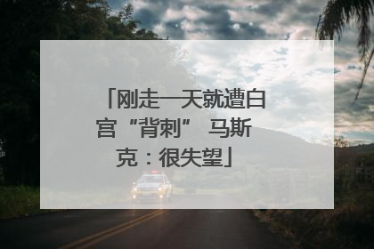 刚走一天就遭白宫“背刺” 马斯克：很失望