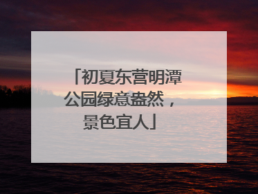 初夏东营明潭公园绿意盎然，景色宜人