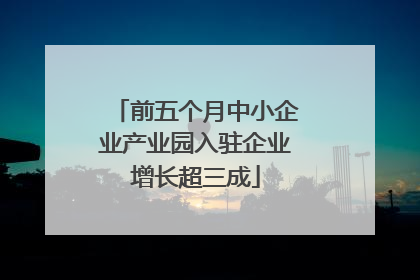 前五个月中小企业产业园入驻企业增长超三成