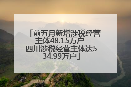 前五月新增涉税经营主体48.15万户 四川涉税经营主体达534.99万户