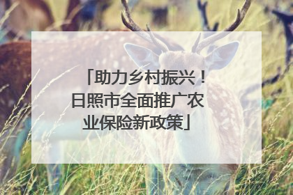 助力乡村振兴！日照市全面推广农业保险新政策
