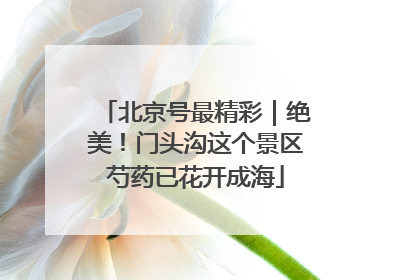 北京号最精彩｜绝美！门头沟这个景区芍药已花开成海