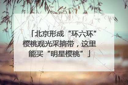 北京形成“环六环”樱桃观光采摘带，这里能买“明星樱桃”