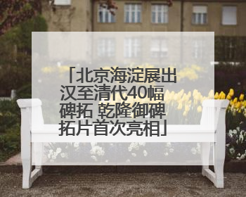 北京海淀展出汉至清代40幅碑拓 乾隆御碑拓片首次亮相