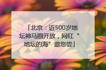 北京：近500岁地坛神马圈开放，网红“地坛的海”邀您尝