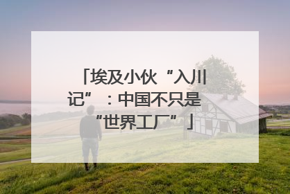 埃及小伙“入川记”：中国不只是“世界工厂”