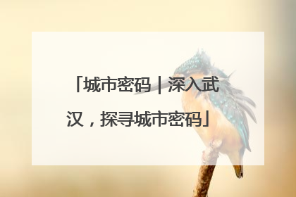 城市密码｜深入武汉，探寻城市密码