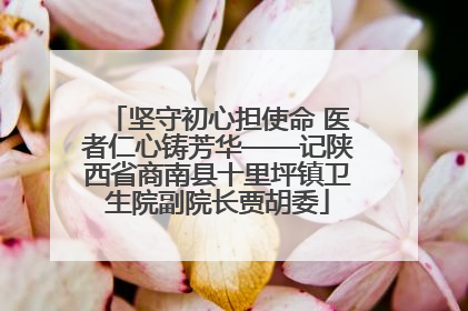 坚守初心担使命 医者仁心铸芳华——记陕西省商南县十里坪镇卫生院副院长贾胡委