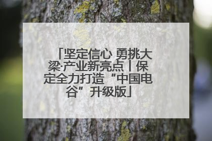 坚定信心 勇挑大梁·产业新亮点丨保定全力打造“中国电谷”升级版
