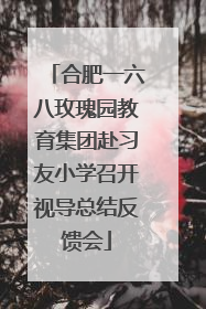 合肥一六八玫瑰园教育集团赴习友小学召开视导总结反馈会