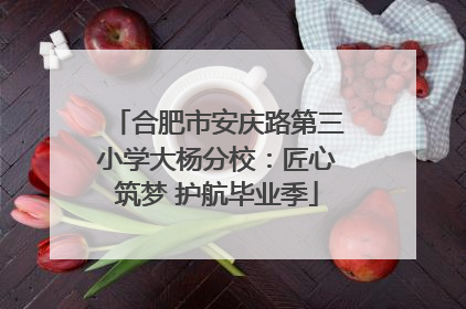 合肥市安庆路第三小学大杨分校：匠心筑梦 护航毕业季