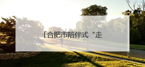合肥市陪伴式“走出去”综合服务专窗护航企业扬帆出海