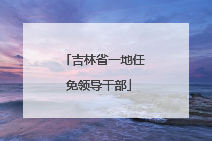 吉林省一地任免领导干部