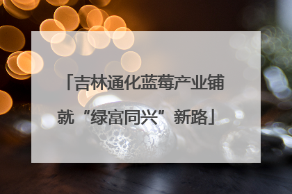 吉林通化蓝莓产业铺就“绿富同兴”新路