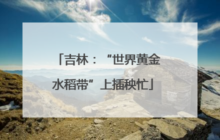 吉林：“世界黄金水稻带”上插秧忙