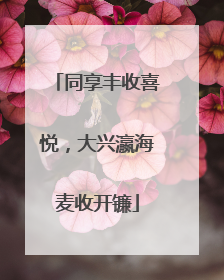 同享丰收喜悦，大兴瀛海麦收开镰