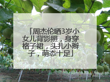 周杰伦晒3岁小女儿背影照，身穿格子裙，头扎小辫子，萌态十足