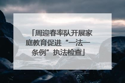 周迎春率队开展家庭教育促进“一法一条例”执法检查