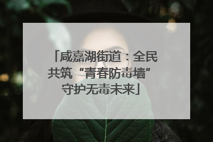 咸嘉湖街道：全民共筑“青春防毒墙” 守护无毒未来