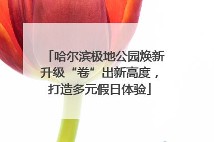 哈尔滨极地公园焕新升级“卷”出新高度，打造多元假日体验
