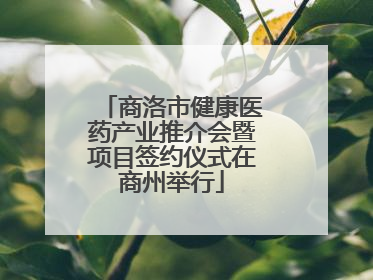 商洛市健康医药产业推介会暨项目签约仪式在商州举行