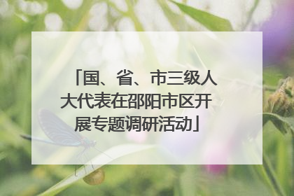国、省、市三级人大代表在邵阳市区开展专题调研活动