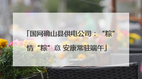 国网确山县供电公司：“粽”情“粽”意 安康常驻端午