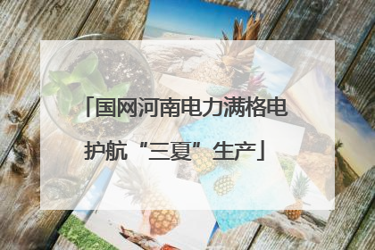 国网河南电力满格电护航“三夏”生产