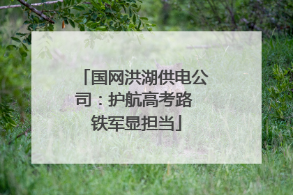 国网洪湖供电公司：护航高考路 铁军显担当
