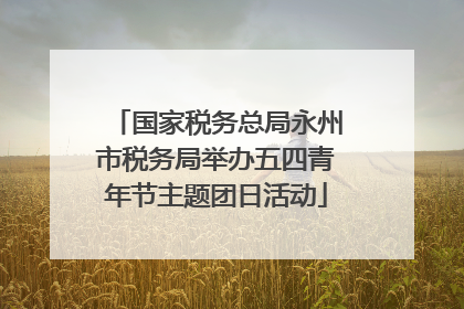 国家税务总局永州市税务局举办五四青年节主题团日活动