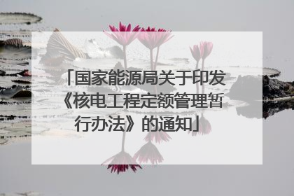国家能源局关于印发《核电工程定额管理暂行办法》的通知