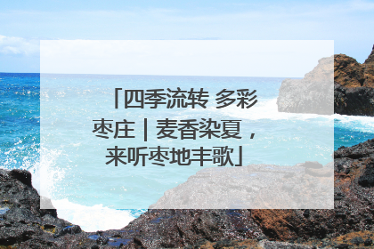 四季流转 多彩枣庄｜麦香染夏，来听枣地丰歌