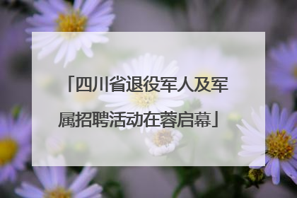 四川省退役军人及军属招聘活动在蓉启幕