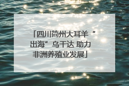 四川简州大耳羊“出海”乌干达 助力非洲养殖业发展