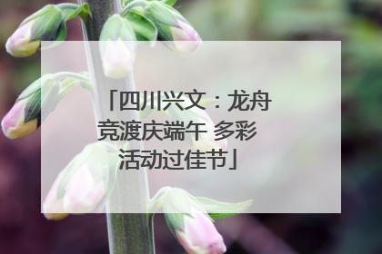 四川兴文：龙舟竞渡庆端午 多彩活动过佳节