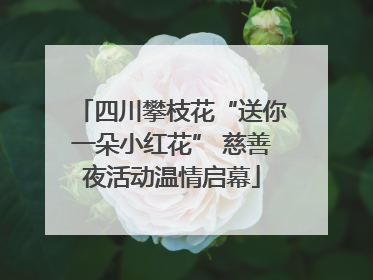 四川攀枝花“送你一朵小红花” 慈善夜活动温情启幕